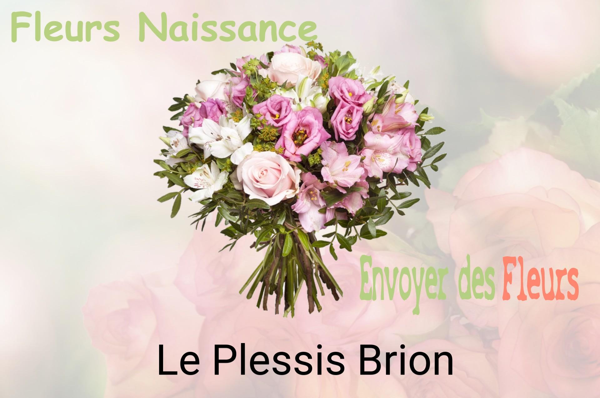 Bouquet de fleurs de naissance livré à Le Plessis-Brion