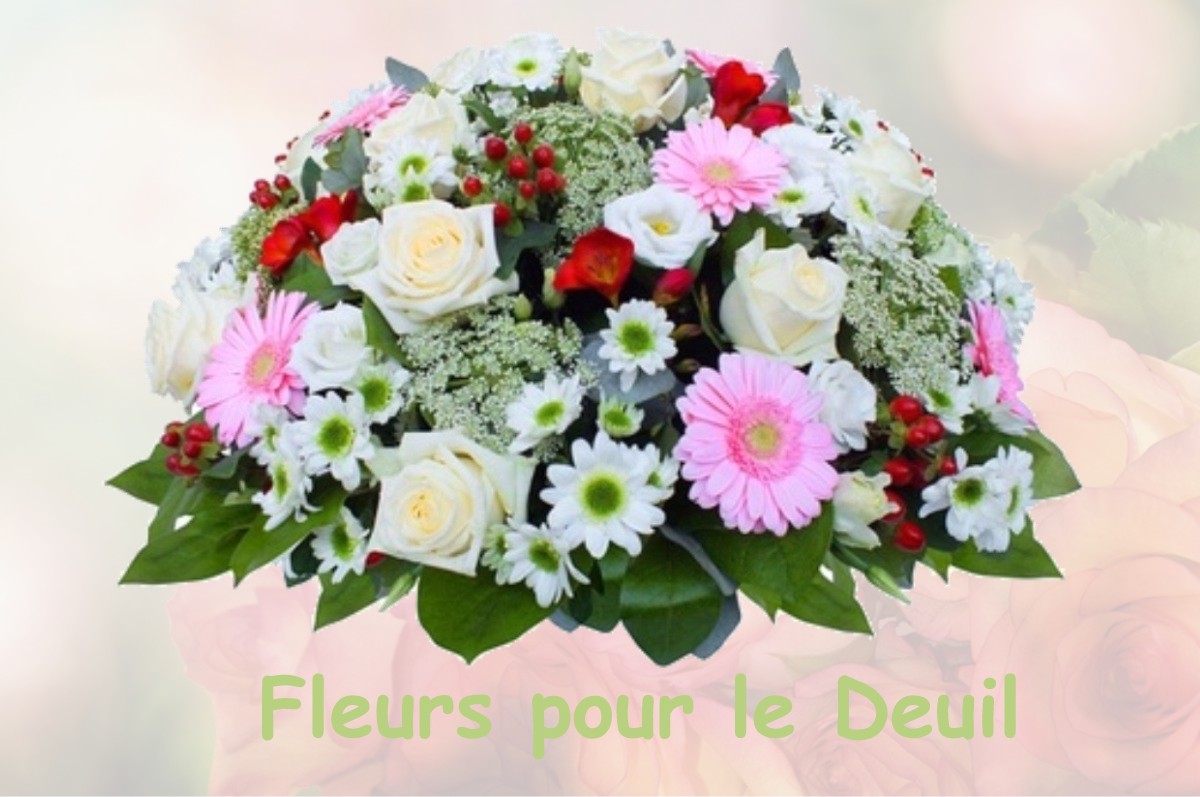 fleurs deuil LE-PLESSIS-BRION