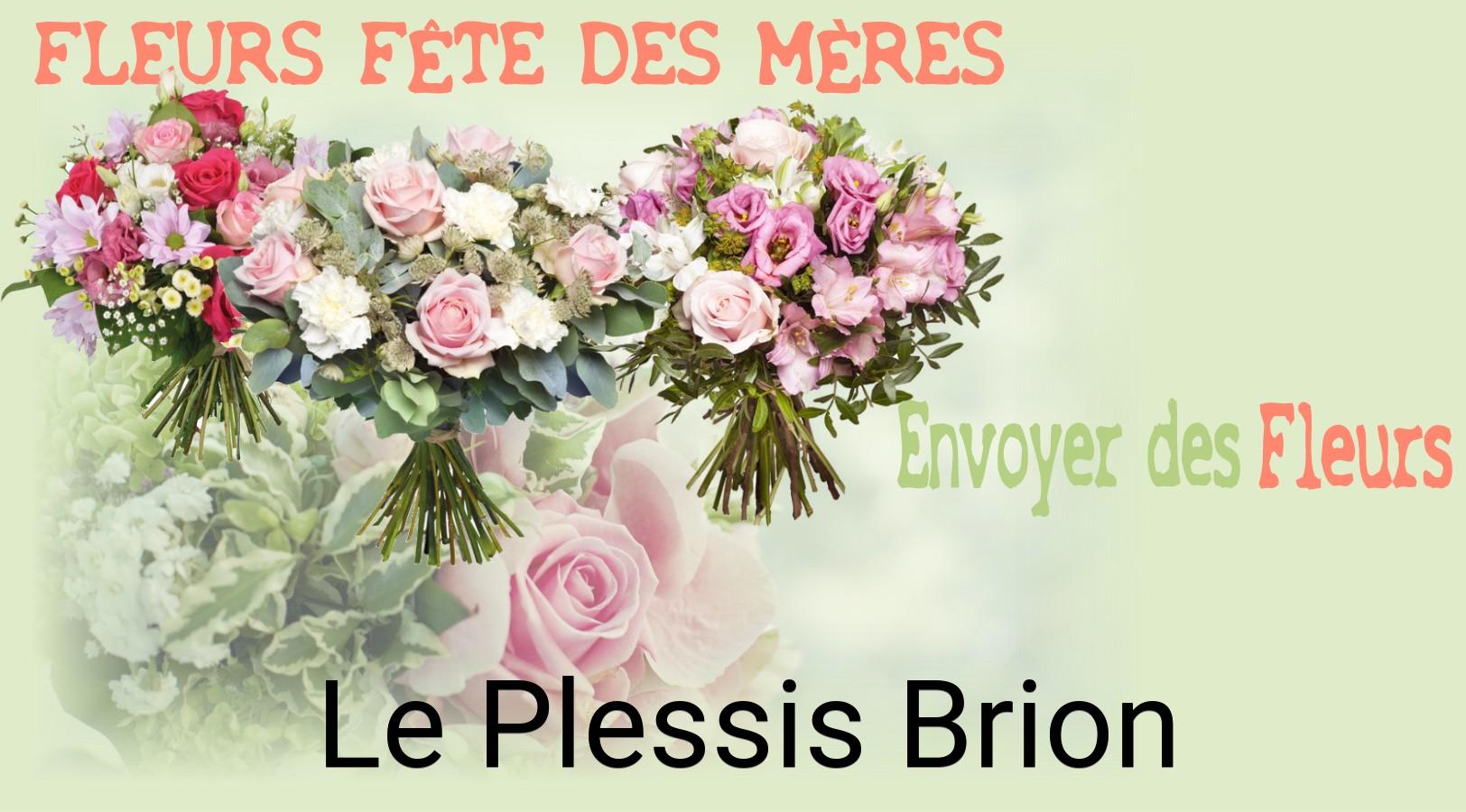 Bouquet de Fête des Mères livré à Le Plessis-Brion